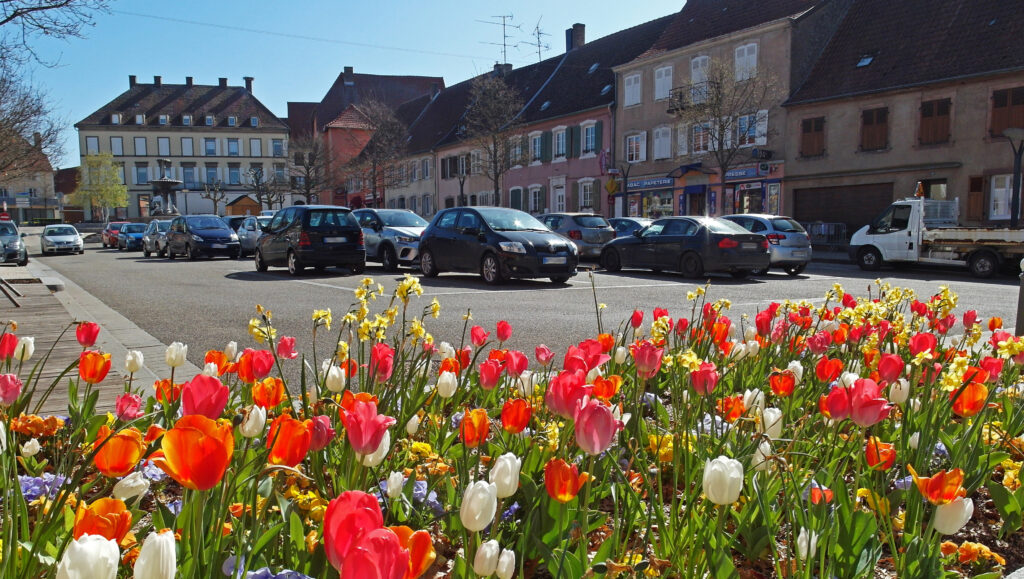 Plarking de la Place de la République à Sarre-Union